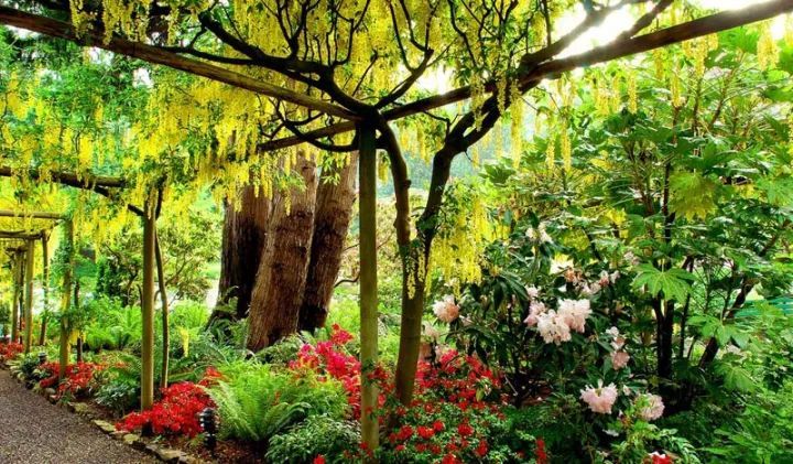 世界上最大的私家花园，迄今已有111年历史！_18