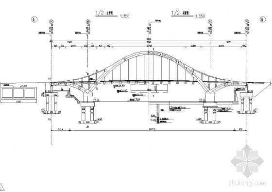 中承式拱桥桥墩资料下载-中承式提篮拱桥立(剖)面图