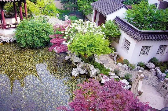 庭院植物应用指南资料下载-庭院里的中国智慧