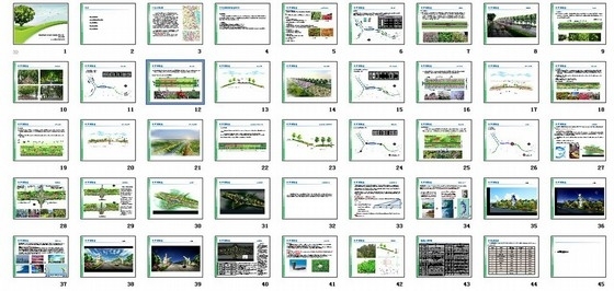 [山东]河流堤顶路绿化工程细化设计方案-总缩略图 