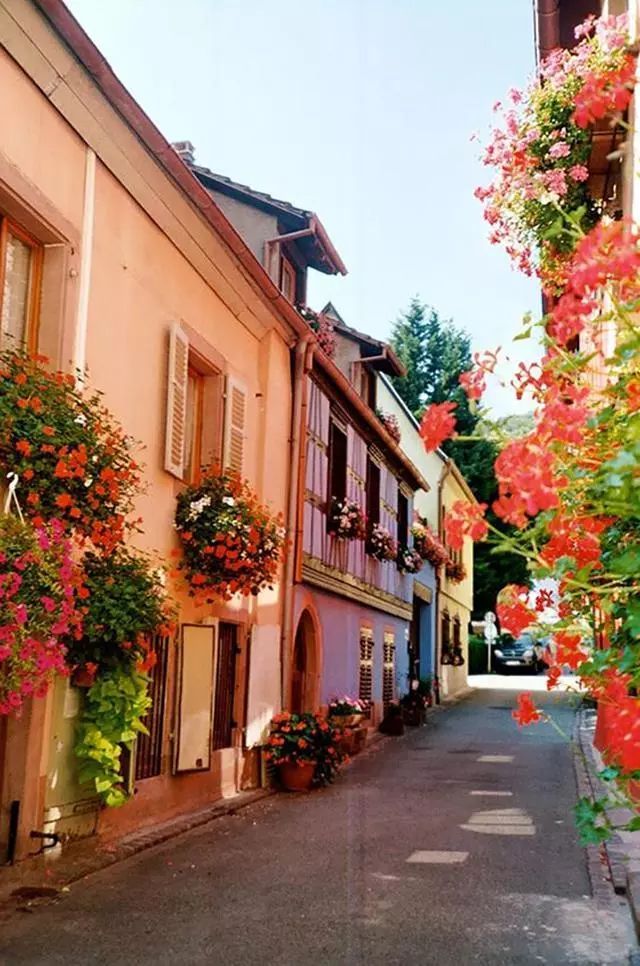 世界上最美的7个鲜花小镇子，这辈子一定要去一次！_12