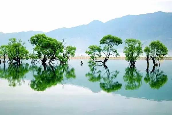 龙游中国青瓷小镇资料下载-中国10个最生态小镇！你知道几个？