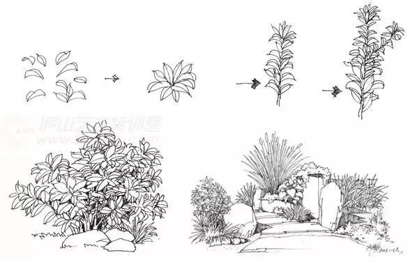 作为景观设计师必须掌握的景观线稿表现_13