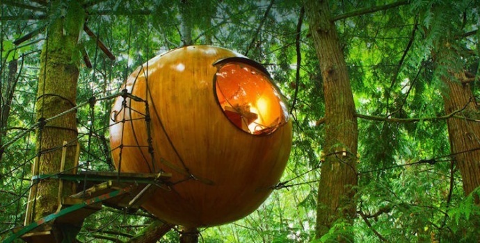 球形树屋资料下载-加拿大的巨型球形树屋