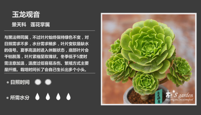 150款萌萌哒的多肉植物图鉴-新增50枚-常见多肉植物图鉴