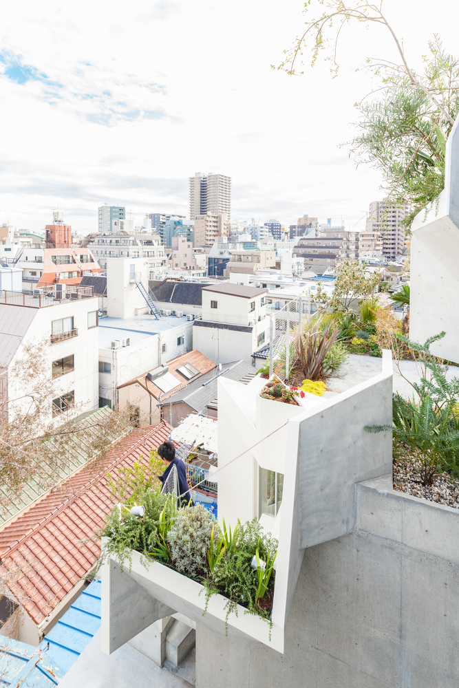 日本丰岛区住宅和画廊综合建筑外部实景图 (4)