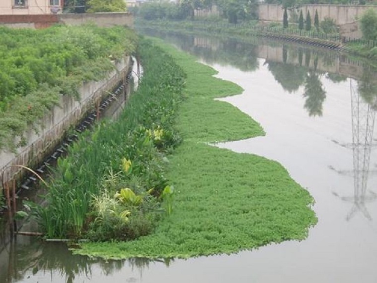 混凝土河道护坡资料下载-河道改造及河堤挡墙工程施工方案pdf版（共18页）