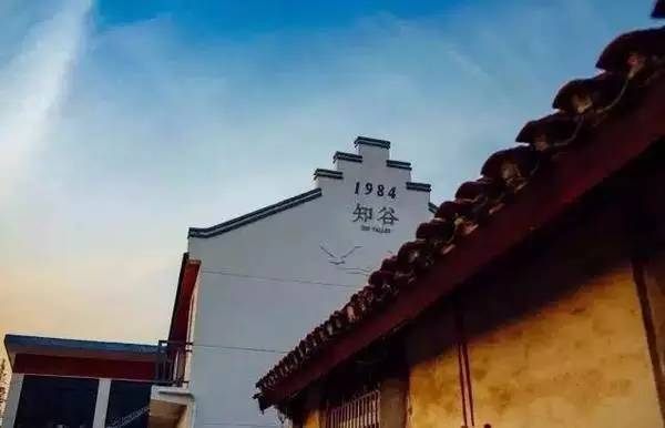 上海民宿图片资料下载-他花了3年时间，把自家老宅改造成了上海民宿界的“网红”