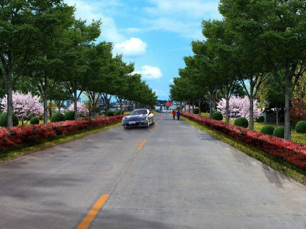 市政道路种植施工图资料下载-[玉林]市政道路绿化工程施工方案