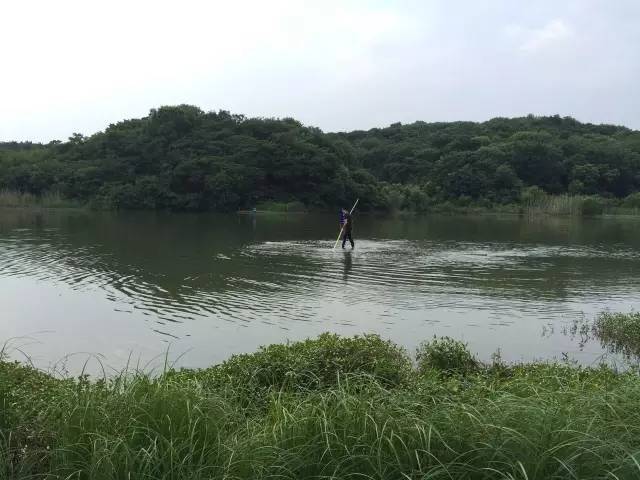 汽车艺术装置资料下载-在这家著名美术馆的周围，为什么艺术品会曝露山野？