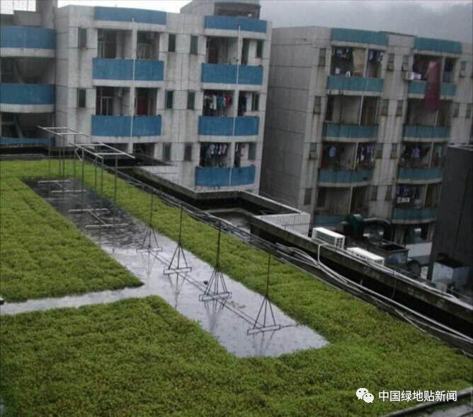 绿色屋面系统资料下载-绿色建筑屋面的实践与设计