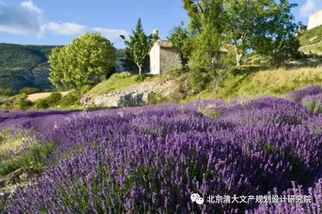 田园旅游综合景观植物设计资料下载-通过3个成功的田园综合体案例，探究做好田园综合体的秘诀