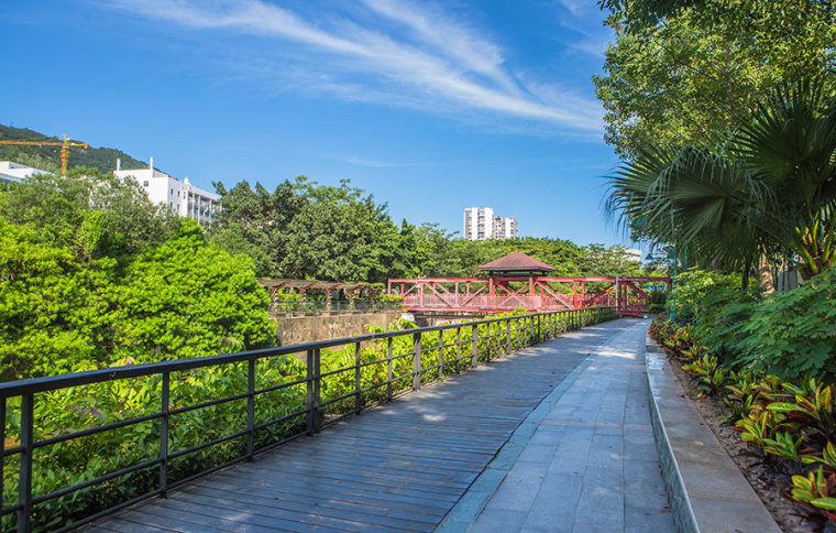 生态停车场绿化景观资料下载-深圳盐田河绿化景观