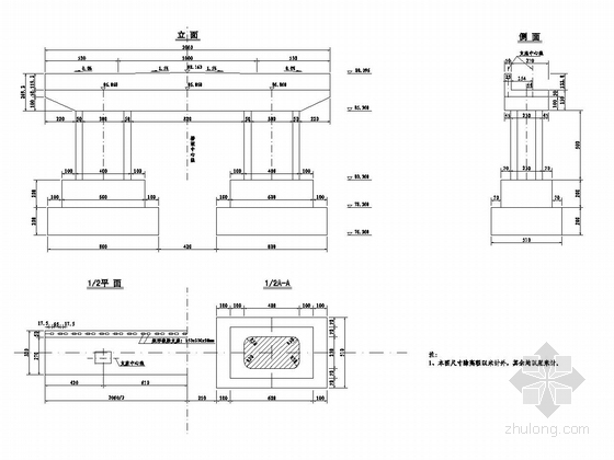 [浙江]市政下承式钢管混凝土提篮式系杆拱桥-主桥桥墩构造图