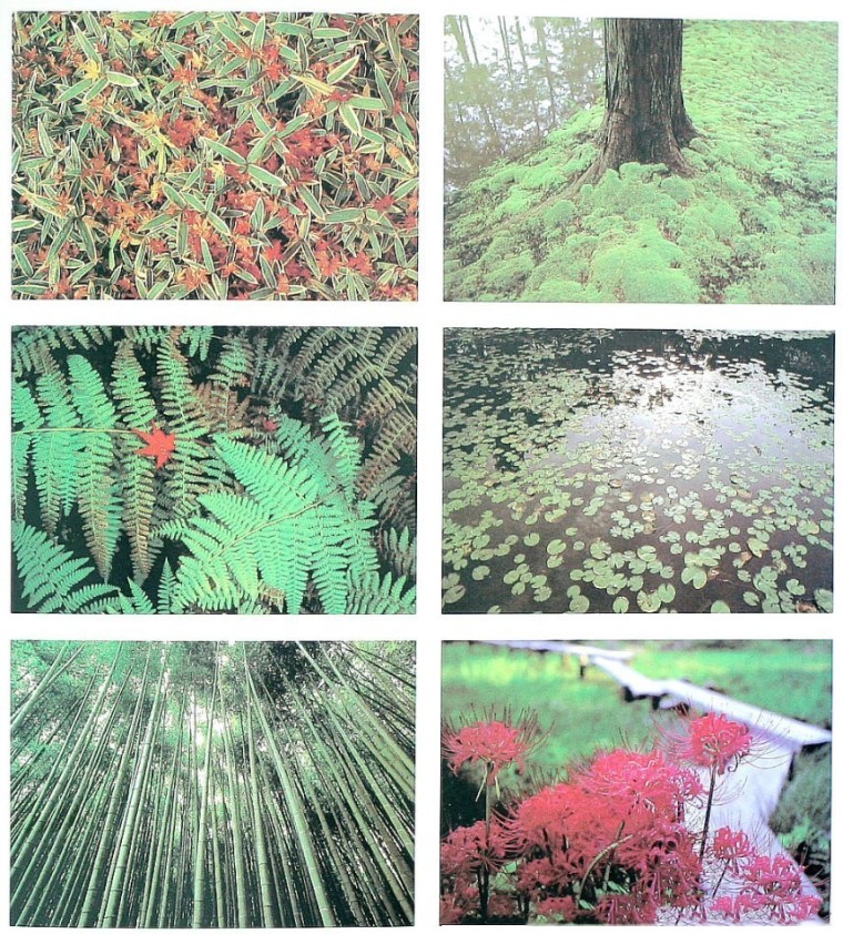 深度解析日本古典园林(设计图+实景)_32