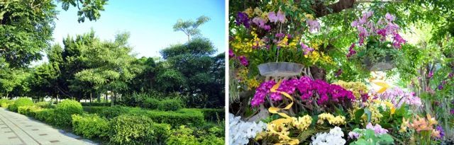 植物景观色彩案例资料下载-植物景观设计要点分析——在医疗与养老空间中的运用！