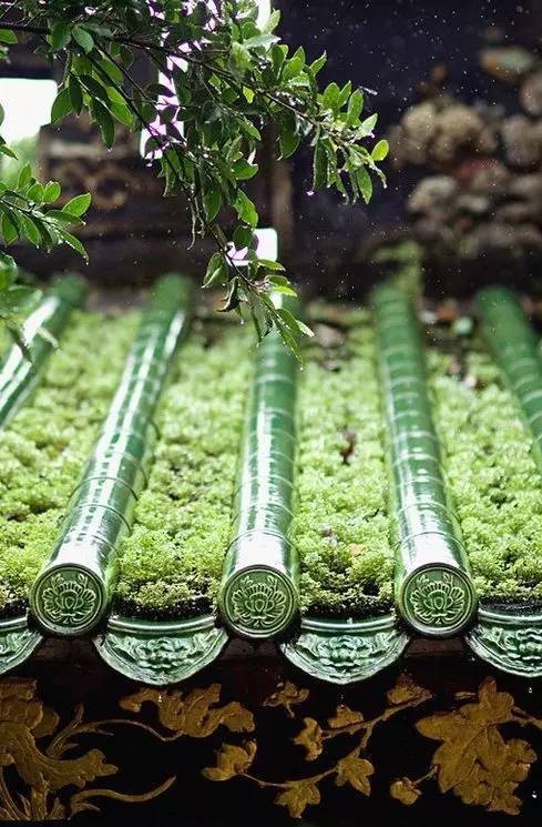 种植屋顶施工方案资料下载-你以为屋顶绿化写上“种植屋面”就完了？