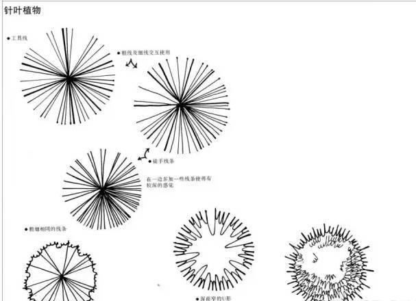 景观快题设计中植物表达技法！_10