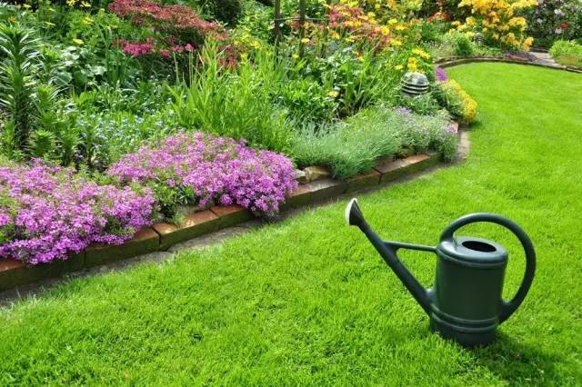 庭院植物景观造景资料下载-花园庭院设计中植物美感的表现
