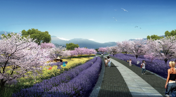 [云南]樱花园特色旅游观光产业园景观规划设计方案-樱花大道景观效果图
