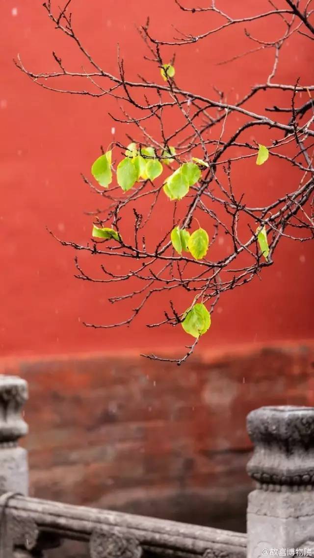 一场雪后的紫禁城美翻了整个北京_36