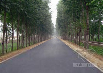 交通标记工程施工组织设计资料下载-[安徽]乡村公路改建工程施工组织设计（实施性）