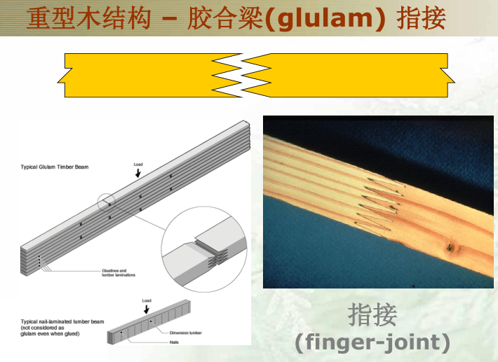 北美木结构建筑和工程木材（PPT，287页）-重型木结构 – 胶合梁(glulam) 指接