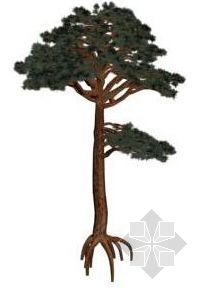 室外绿化3D模型资料下载-树4