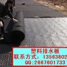 车库顶板塑料排水板资料下载-hdpe聚乙烯高塑料车库顶板排水板价格(图)