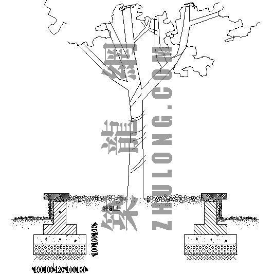 雕塑的造型与背后的树资料下载-坐凳造型树详图