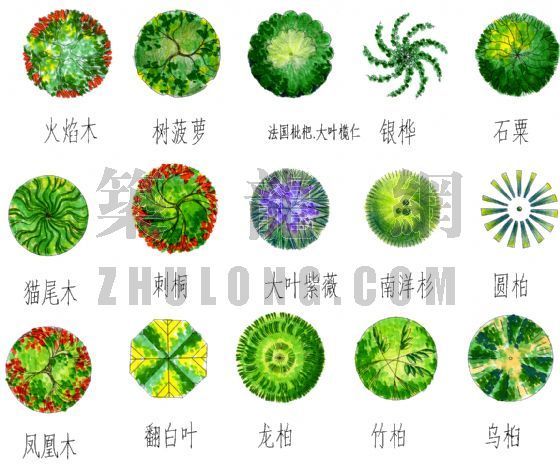 psd树平面素材资料下载-平面乔木psd合成3