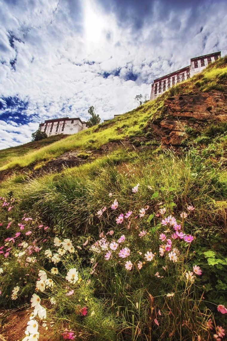 西藏规划景观资料下载-未来一年西藏旅行时间表：在最美的时间遇见你