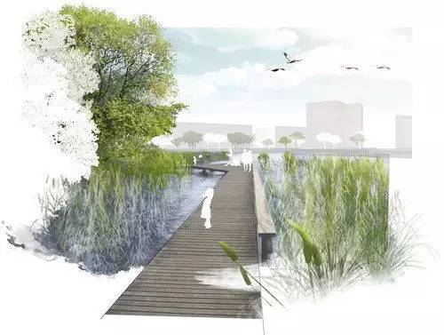 水库景观设计文本资料下载-滨水景观设计，这样种草，你造吗？？
