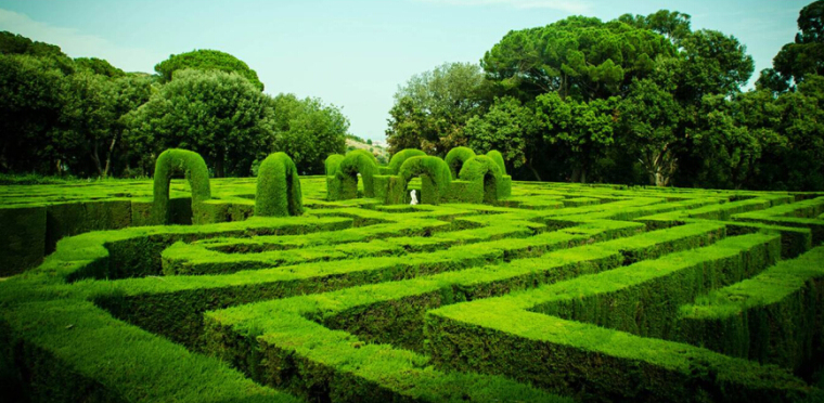 [河南]樱花主题旅游度假风景区规划设计方案-植物迷宫效果图