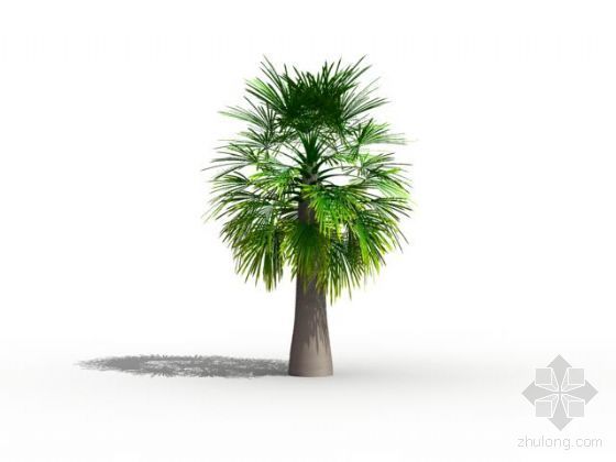 棕榈中的别墅住宅资料下载-棕榈000