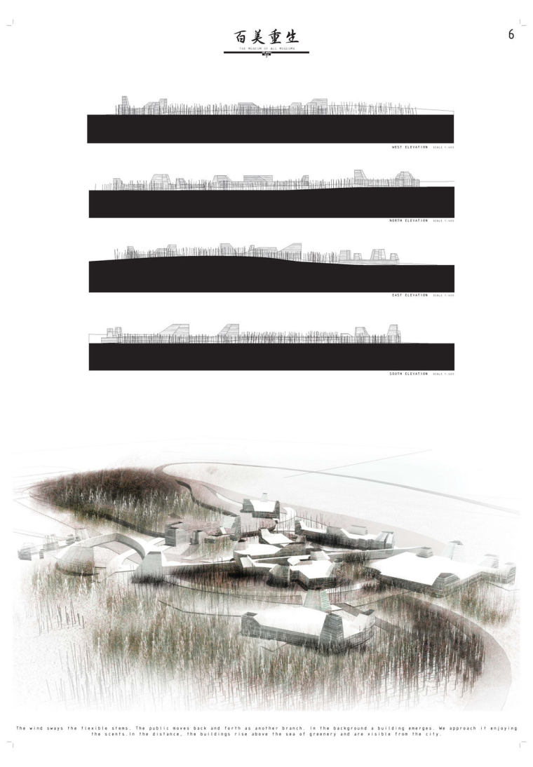 新台北博物馆3组国际竞标方案（A1大图）-新台北博物馆竞标方案第三组C6