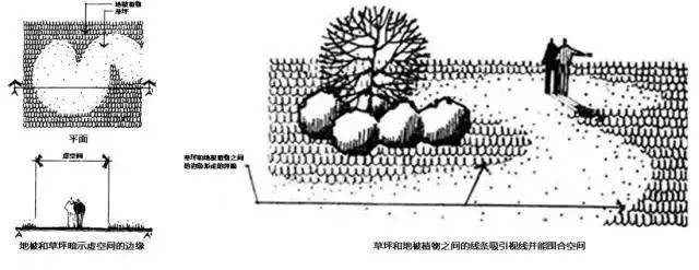 景观植物空间造景｜解析_2