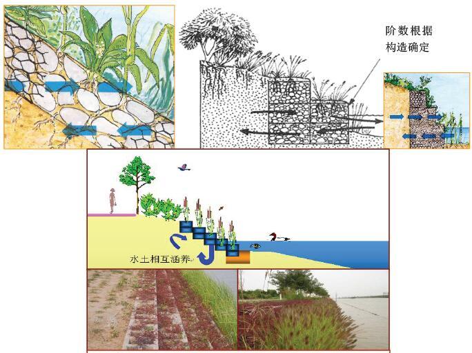 湖泊流域入湖河流河道生态修复技术指南（PDF格式，110页）-植草砌块、生态混凝土、石笼基床等阶梯式结构型式示意图