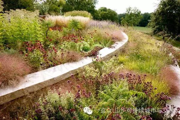 墨尔本皇家公园湿地资料下载-十大种植设计中最易犯的错误以及规避方法