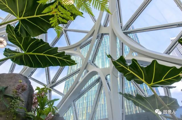 办公室种植植物资料下载-极致体验 · 把热带雨林搬到你的办公室