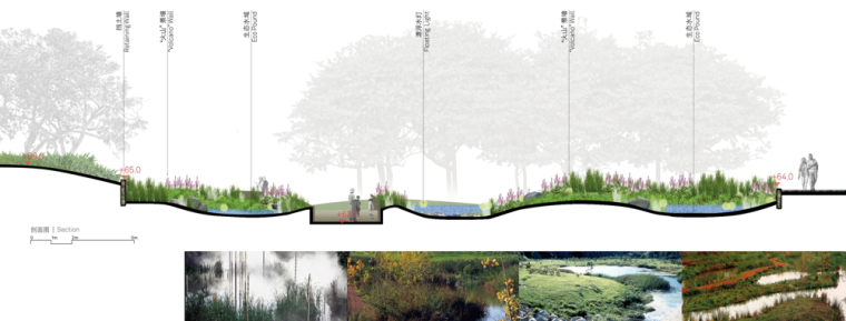[江苏]南京汤山国家地质公园博物馆景观概念设计（PPT61页）-湿地花园剖面图
