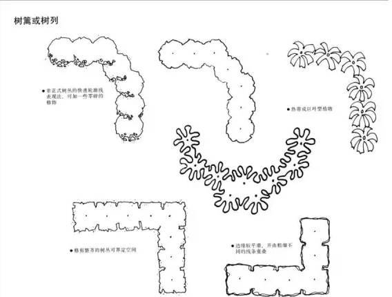 景观快题设计中植物表达技法！_40
