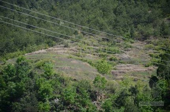 小流域综合治理工程施工组织设计（2014年）-坡耕地造经济林 