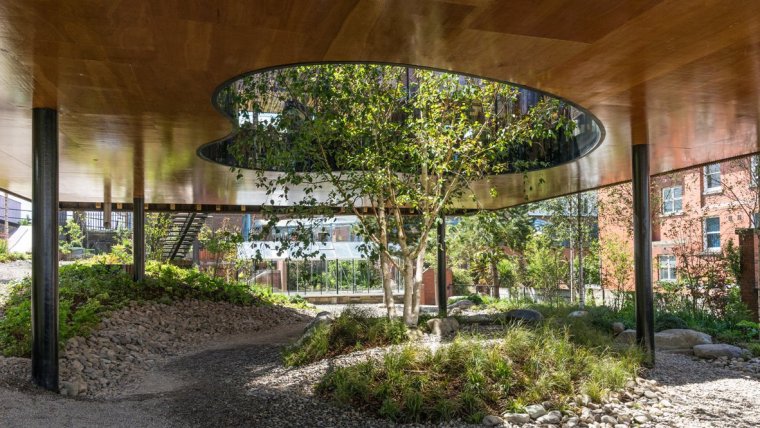景观曲线案例资料下载-奥尔德姆的马吉医疗中心---由曲线形玻璃环绕的庭院