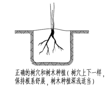 河道治理工程实施性施工组织设计word版（共93页）_3