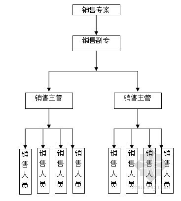 [安徽]商业地产项目前期策划报告详解(图文并茂 131页)-组织结构 