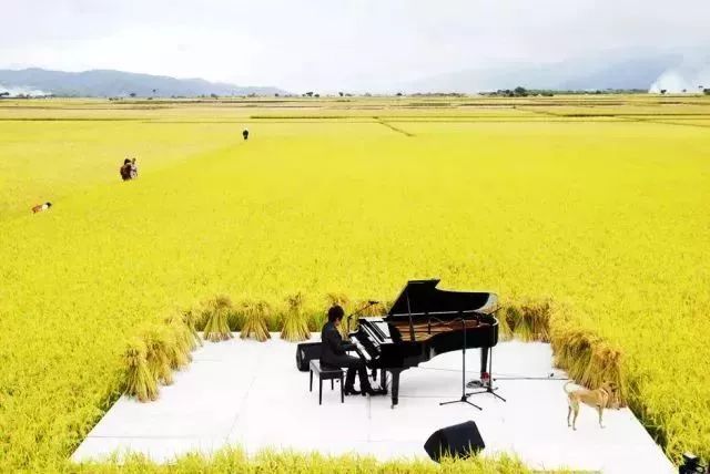 稻田特色小镇资料下载-一场稻田音乐会，让这个乡村轰动了全台湾！