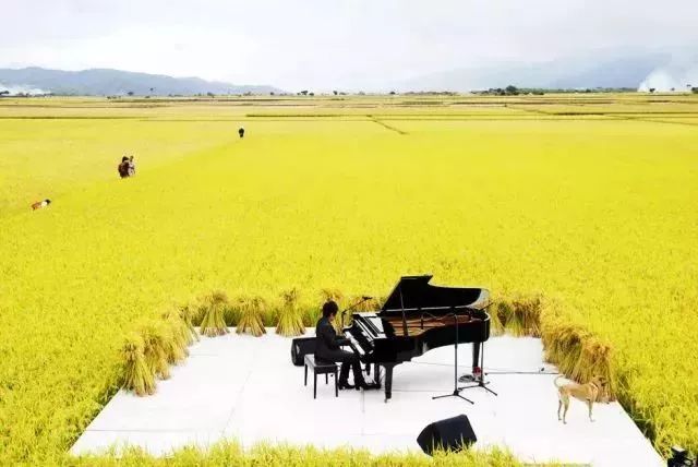 美好乡村建设规划资料下载-一场稻田音乐会，让这个乡村轰动了全台湾！