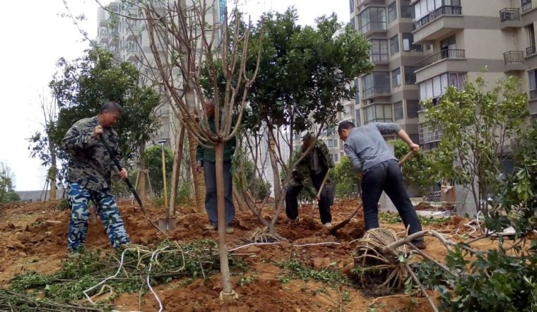 园林设计落地难的问题，被室内设计师说出来了_15