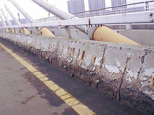 桥梁结构的腐蚀防护资料下载-桥梁混凝土结构的腐蚀与防护设计